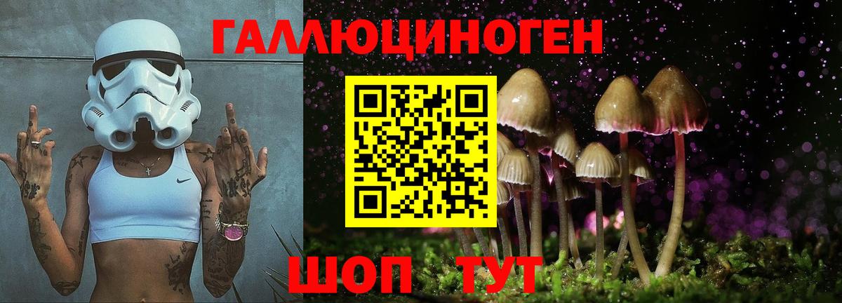 Галлюциногенные грибы ЛСД  Вход с VPN  магазин продажи наркотиков  Красногорск 